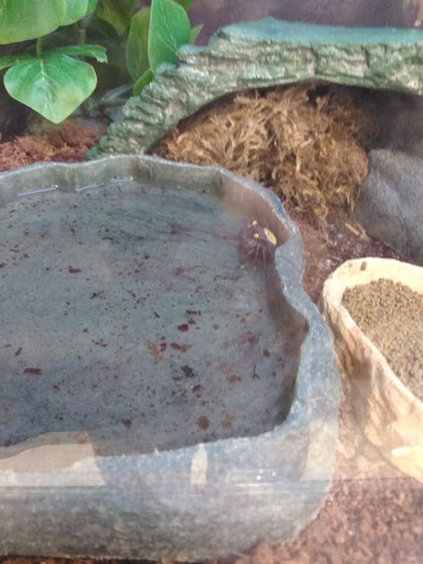 Pet Supply Store «Petco Animal Supplies», reviews and photos, 4440 Rib Mountain Dr, Wausau, WI 54401, USA