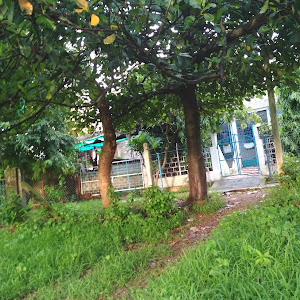 Priyadarshni Colony Park photo