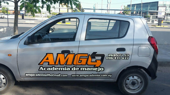 AMG Academia de Manejo