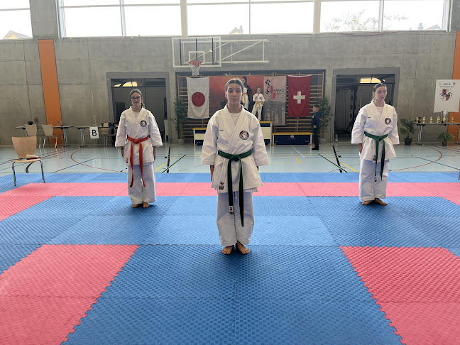 Karateschule SEISHIN - Emmen