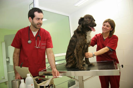 Centro Veterinario Ciutat Vella en Barcelona