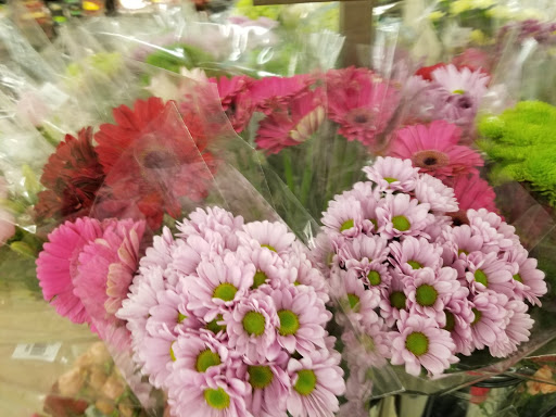 Grocery Store «Food Lion», reviews and photos, 1903 SC-544, Conway, SC 29526, USA