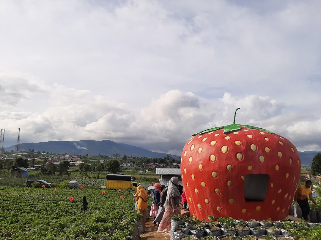 Agrowisata strawberry organik zjikho