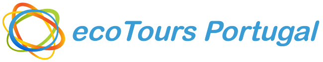 Comentários e avaliações sobre o Tours Portugal