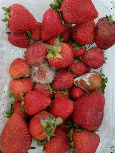 Health Food Store «Sprouts Farmers Market», reviews and photos, 1343 W Campbell Rd, Richardson, TX 75080, USA