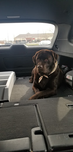 Pet Supply Store «Petco Animal Supplies», reviews and photos, 660 Chestnut Commons Dr, Elyria, OH 44035, USA