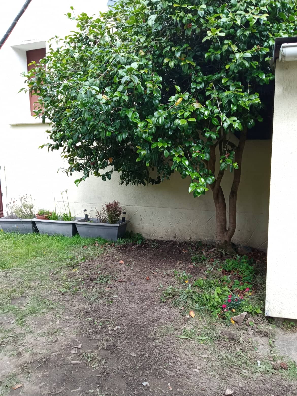 Photo n° 1 de l'avis de Valérie.A fait le 08/07/2021 à 12:43