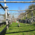 Photo n°10 de l'avis de Imma.a fait le 14/02/2023 à 13:19 sur le  Farmhouse La Grotta à Corbara