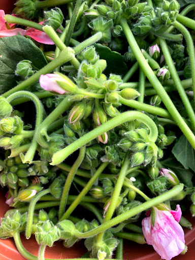 Florist «The Garden», reviews and photos, 155 Main St N, Woodbury, CT 06798, USA