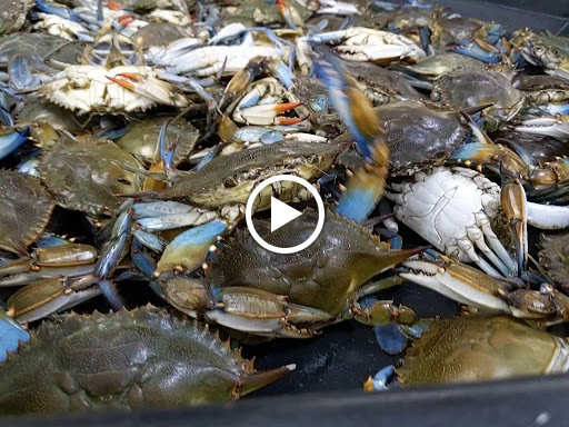 Supermarket «Nam Dae Mun Farmers Market», reviews and photos, 2350 Spring Rd SE, Smyrna, GA 30096, USA