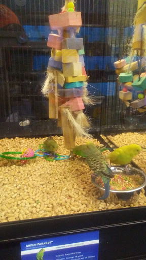 Pet Supply Store «PetSmart», reviews and photos, 139 Rolling Hills Cir, Easley, SC 29640, USA