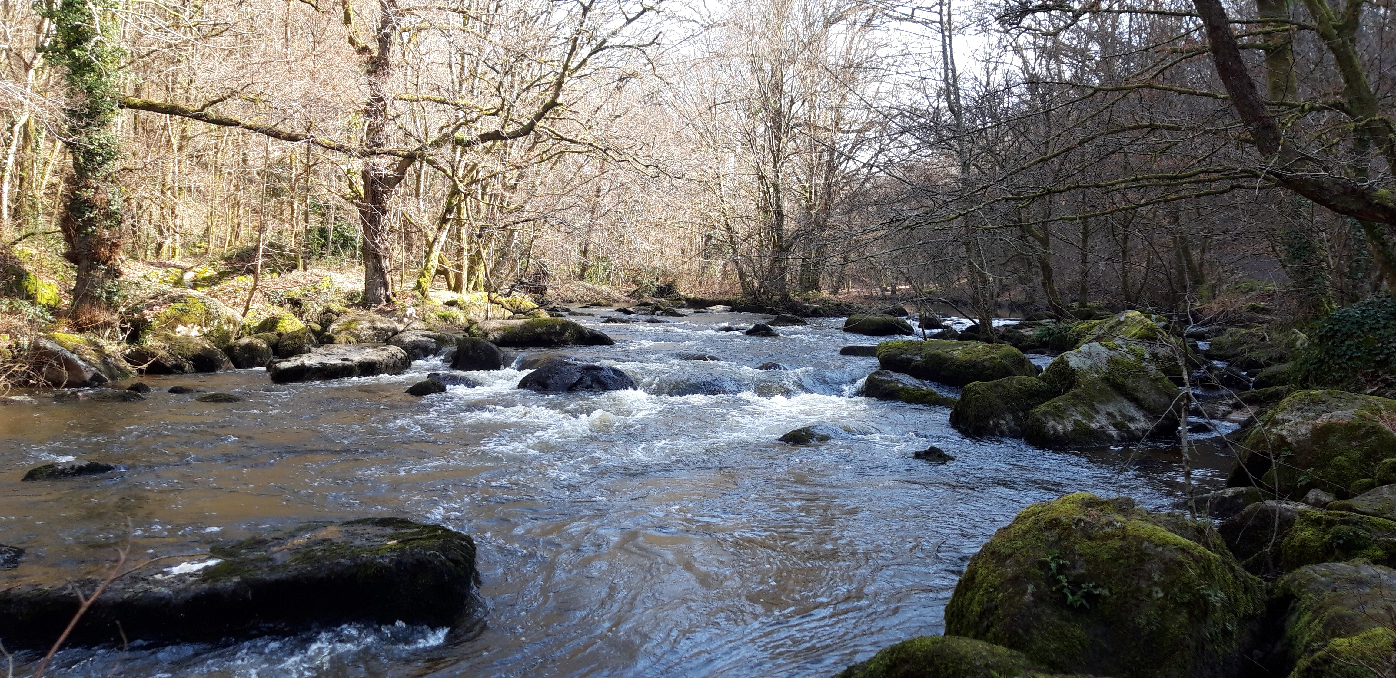Photo n° 2 de l'avis de Géraldine.a fait le 25/03/2019 à 14:29