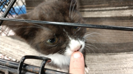 Pet Supply Store «Petco Animal Supplies», reviews and photos, 11111 San Jose Blvd #57, Jacksonville, FL 32223, USA