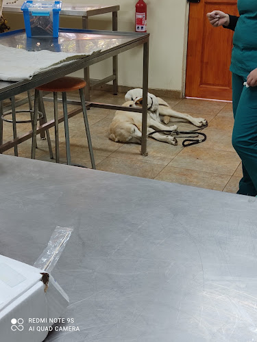 Opiniones de Estacion Experimental Med. Veterinaria UDLA en Concepción - Veterinario
