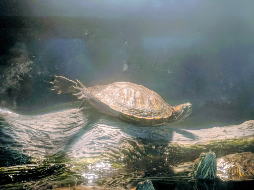 Pet Supply Store «Petco Animal Supplies», reviews and photos, 3525 W Victory Blvd, Burbank, CA 91505, USA