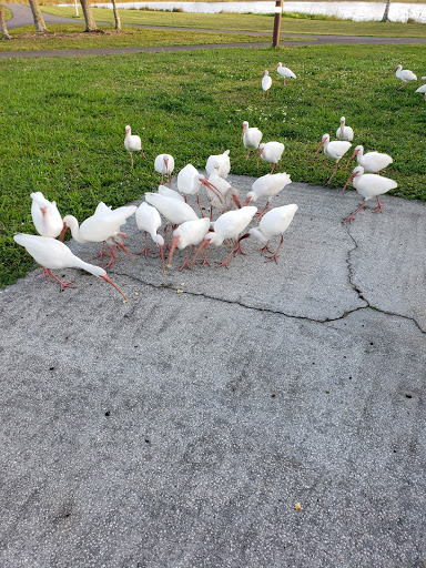Boat Ramp «South Bay RV Park», reviews and photos, 100 Levee Rd, South Bay, FL 33493, USA