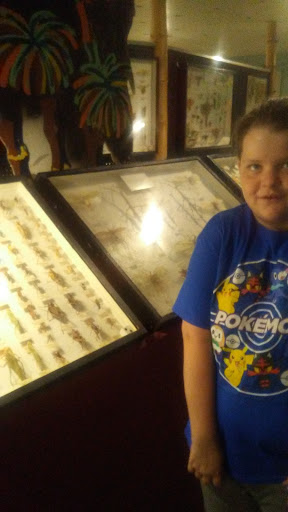 Museum «May Natural History Museum», reviews and photos, 710 Rock Creek Canyon Rd, Colorado Springs, CO 80926, USA