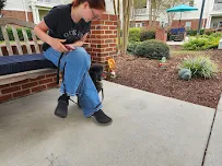 Geek Squad - Car repair in Jacksonville, NC, Jacksonville - Rated 3.6/5