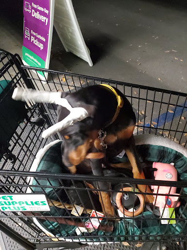 Pet Supply Store «Pet Supplies Plus», reviews and photos, 1411 S Stockton St, Lodi, CA 95240, USA