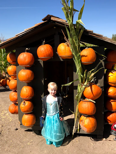 Produce Market «Kuwahara Farms», reviews and photos, 736 12300 S, Draper, UT 84020, USA