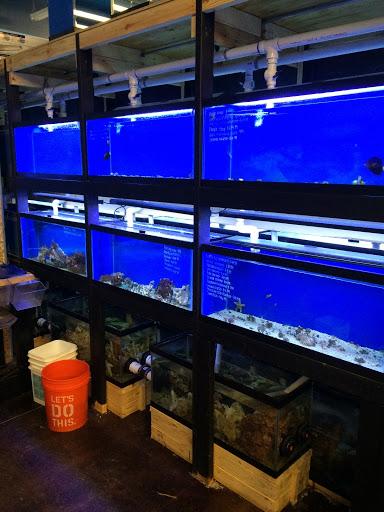 Pet Store «Woofs & Waves», reviews and photos, 5426 Arrowhead Pkwy E, Sioux Falls, SD 57110, USA