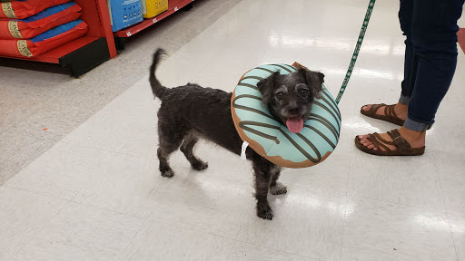 Pet Supply Store «Petco Animal Supplies», reviews and photos, 444 N Santa Cruz Ave, Los Gatos, CA 95030, USA