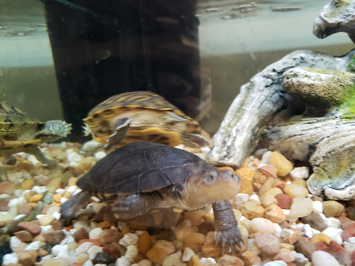 Pet Supply Store «PetSmart», reviews and photos, 1411 S Harbor Blvd, Fullerton, CA 92832, USA