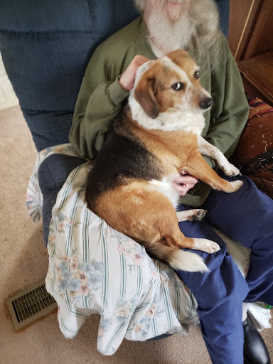 Thrift Store «West Plains Regional Animal Shelter», reviews and photos, 1438 State Rte BB, West Plains, MO 65775, USA