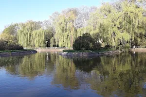 Parcul Municipal Onești image