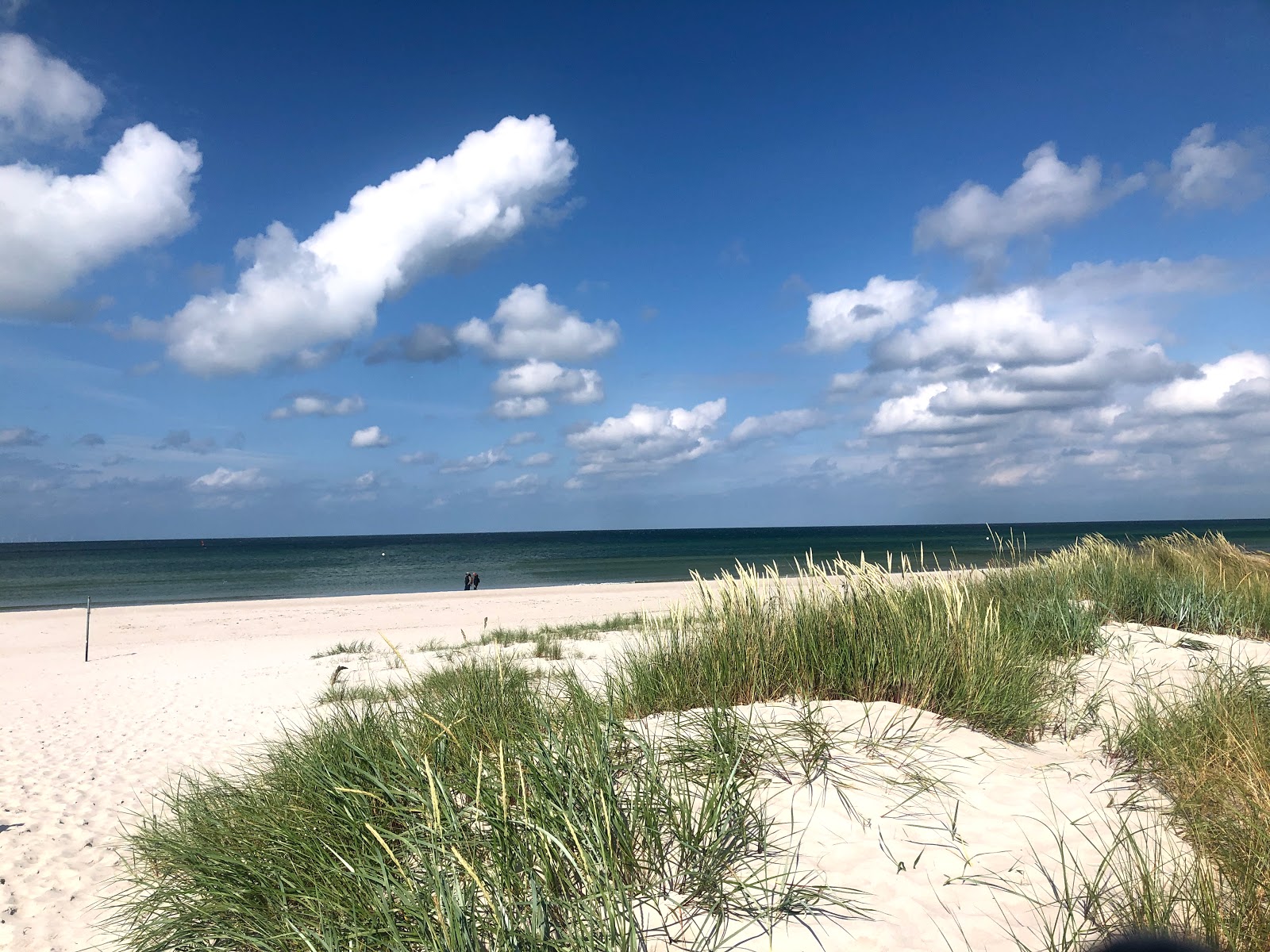 Fotografija Plaža Prerow z svetel pesek površino
