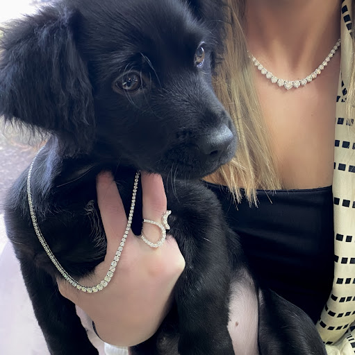 Jewelry Store «San Antonio Jewelry», reviews and photos, 1874 North Loop 1604 W, San Antonio, TX 78248, USA