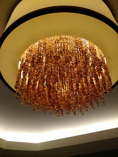 Hotel «Hilton Arlington», reviews and photos, 950 N Stafford St, Arlington, VA 22203, USA