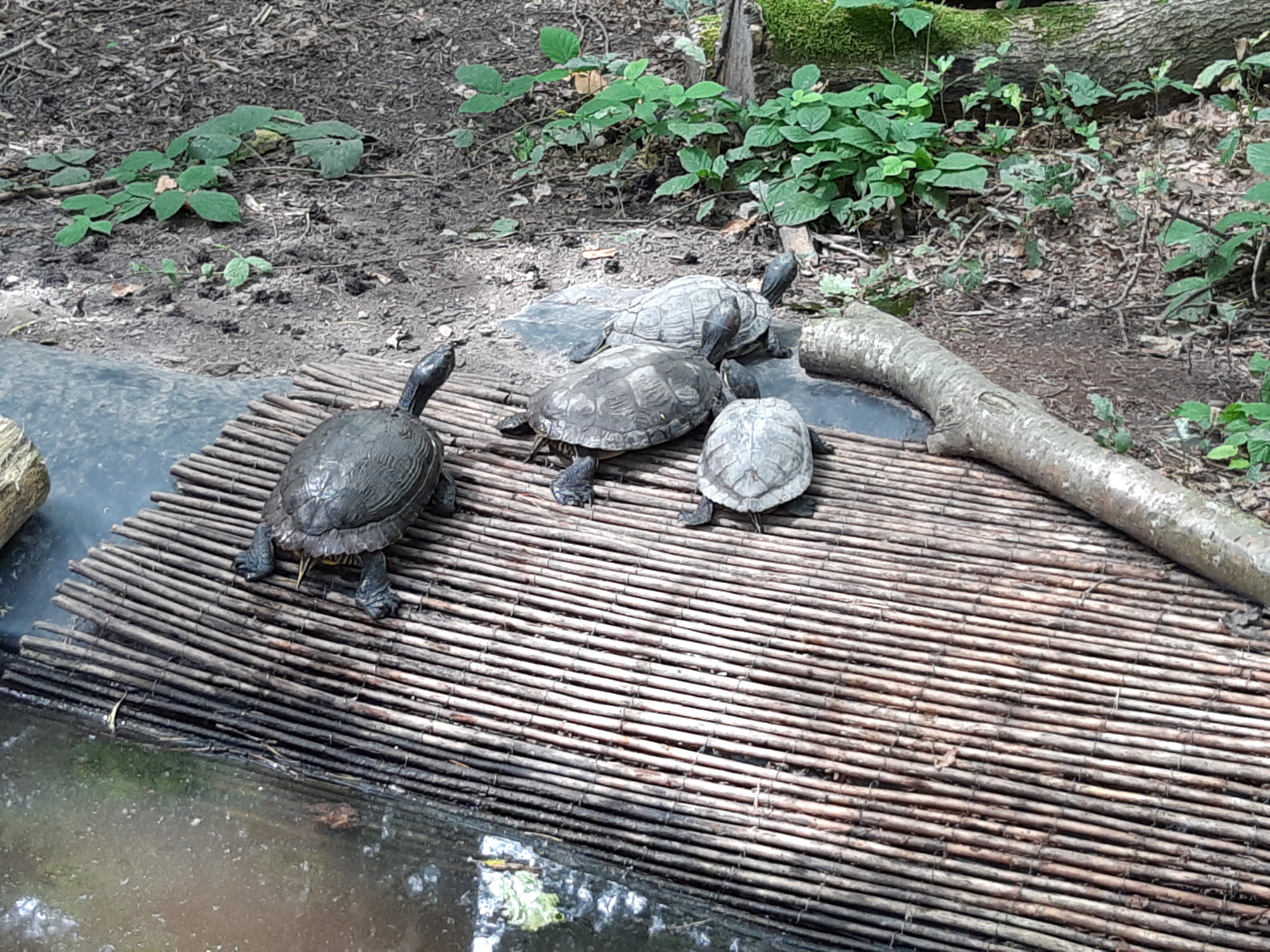 Photo n° 4 de l'avis de Karin. fait le 27/08/2021 à 19:30