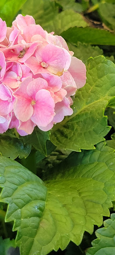 Home Improvement Store «The Home Depot», reviews and photos, 1510 Ring Rd, Elizabethtown, KY 42701, USA