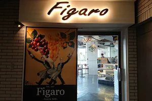 Figaro image