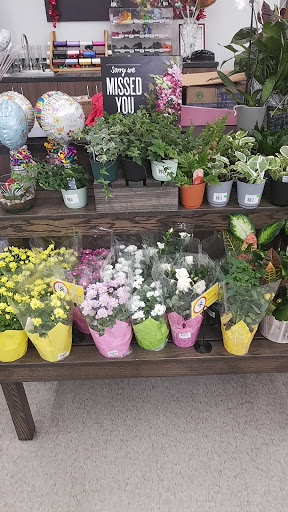 Grocery Store «Winn-Dixie», reviews and photos, 4224 US-90 #507, Pace, FL 32571, USA