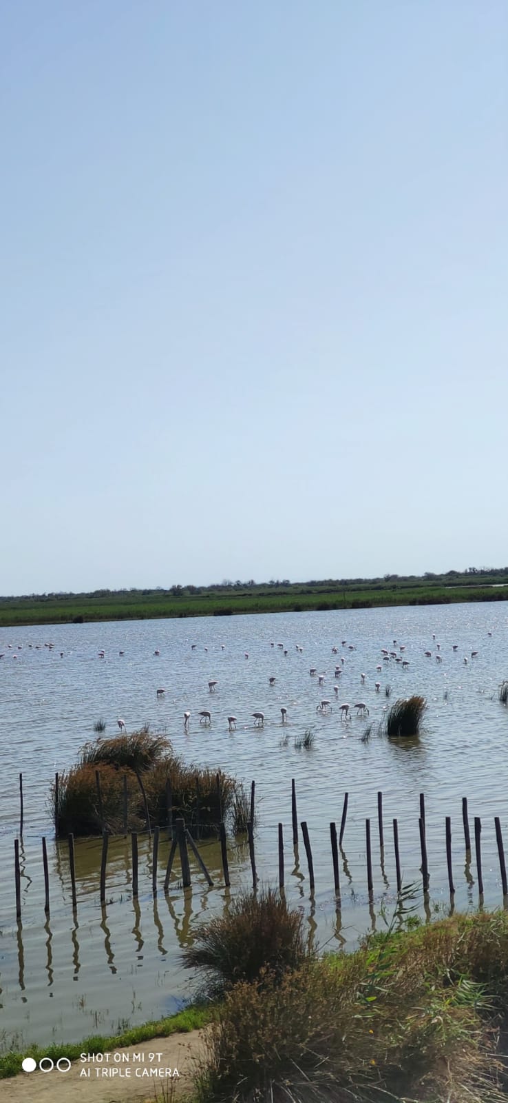Photo n° 3 de l'avis de MARINA.A fait le 20/07/2023 à 16:27