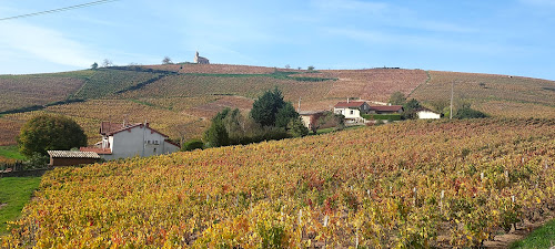 Beaujolais à Juliénas