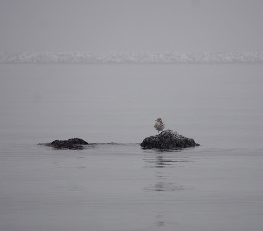 City Park «Lighthouse Point Park», reviews and photos, 2 Lighthouse Rd, New Haven, CT 06512, USA