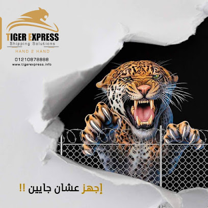 تايجر اكسبريس -Tiger Express