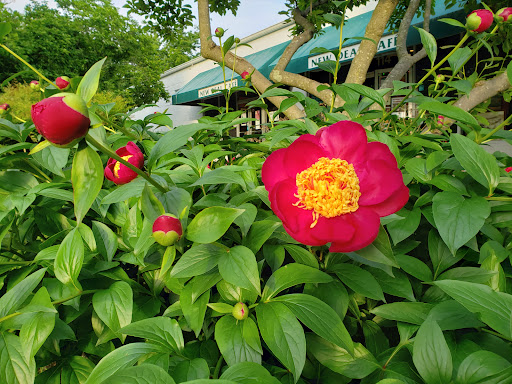 Restaurant «New Deal Cafe», reviews and photos, 113 Centerway, Greenbelt, MD 20770, USA