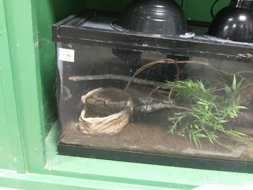 Pet Supply Store «Saluda River Pet», reviews and photos, 130 Robin Helton Dr, Boiling Springs, SC 29316, USA