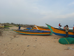 Rajjyapeta Beach'in fotoğrafı vahşi alan