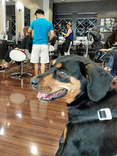 Beauty Salon «Frizzles», reviews and photos, 534 John Carlyle St, Alexandria, VA 22314, USA