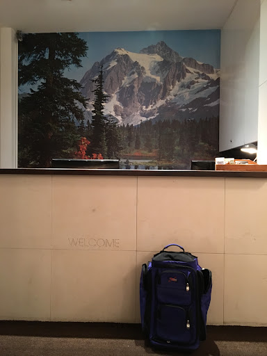 Hotel «Ace Hotel, Seattle», reviews and photos, 2423 1st Ave, Seattle, WA 98121, USA