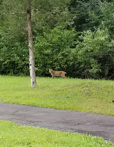 Golf Course «Airways Golf», reviews and photos, 1070 S Grand St, West Suffield, CT 06093, USA