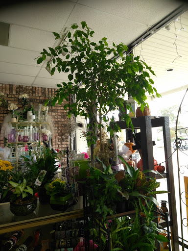 Florist «Rainforest Flowers», reviews and photos, 25602 N Fwy Service Rd #116, The Woodlands, TX 77386, USA