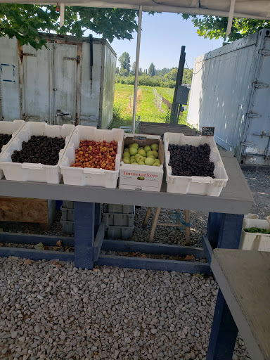 Tourist Attraction «Tonnemaker Valley Farm & Woodinville Farm Stand», reviews and photos, 16215 140th Pl NE, Woodinville, WA 98072, USA