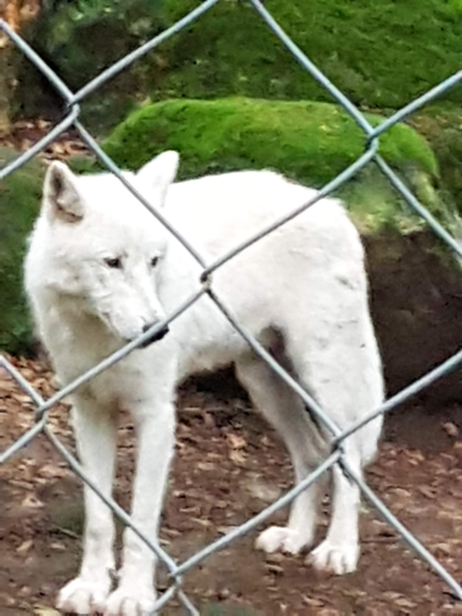 Photo n° 1 de l'avis de Eric.c fait le 26/09/2018 à 20:56