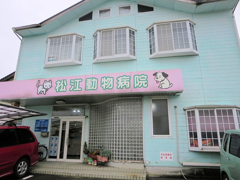 松江動物病院